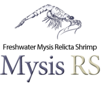Mysis RS