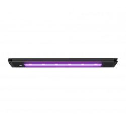 AI Blade Coral Glow - 12 Inch 