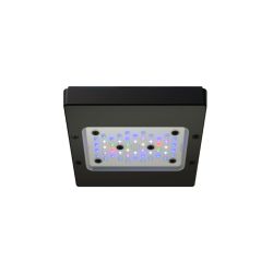 Ecotech Radion Gen 6 XR15 Pro 