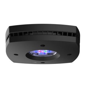 AI Prime 16HD Black 