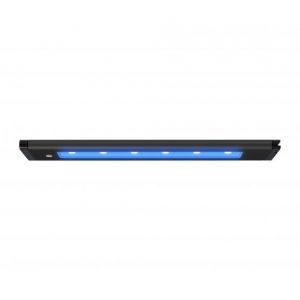 AI Blade Coral Grow - 21 Inch 