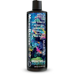Brightwell Aquatics Bacstart XLM Marine Starter Culture 250ml